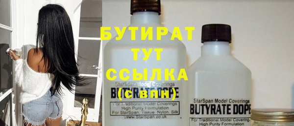 прущие грибы Вязники