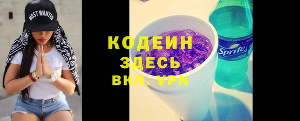прущие грибы Вязники