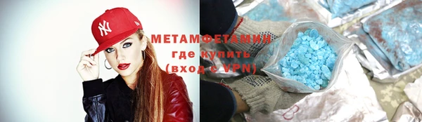 прущие грибы Вязники