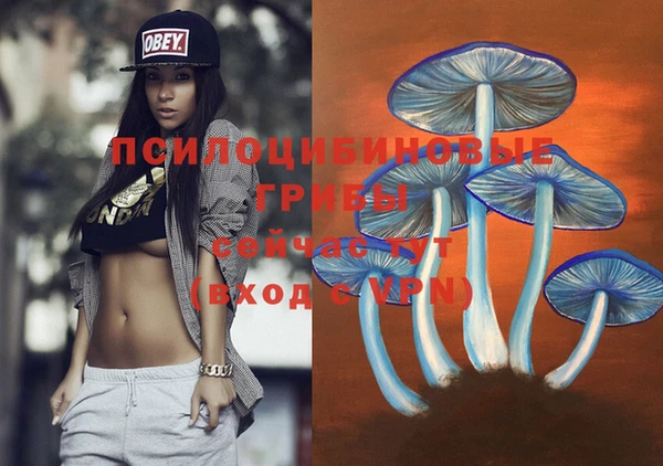 альфа пвп Вяземский