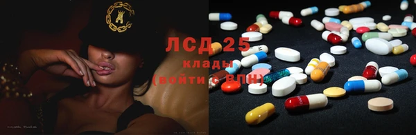 прущие грибы Вязники