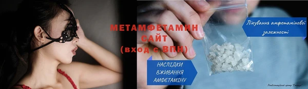 прущие грибы Вязники