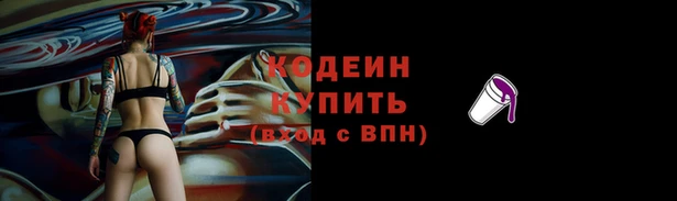 прущие грибы Вязники
