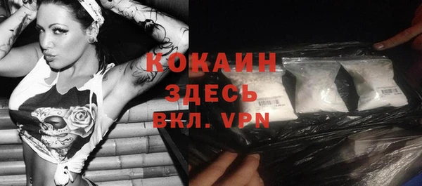 прущие грибы Вязники