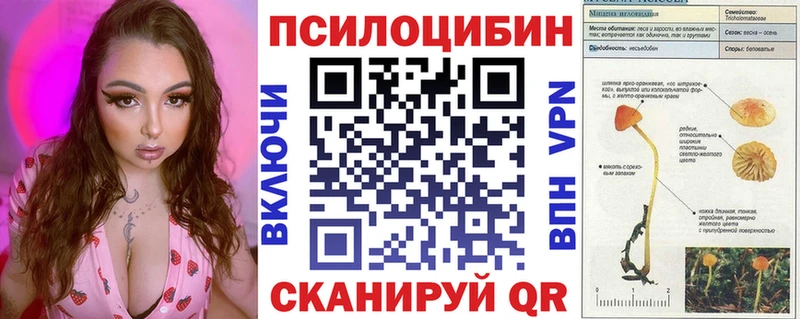 цены   Артём  Псилоцибиновые грибы MAGIC MUSHROOMS 