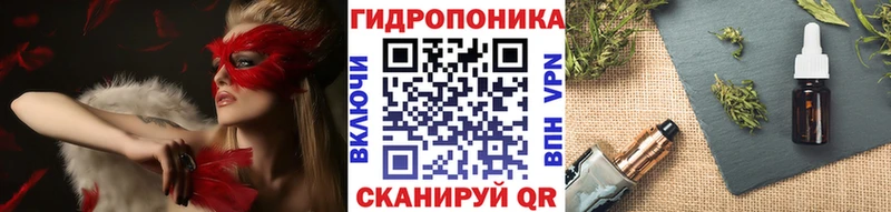 Шишки марихуана Bruce Banner  сколько стоит  ссылка на мегу ТОР  Артём 